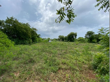 solares y terrenos - 🌴 ¡Solar de 5,000 m² en Juan Dolio!🌴 2
