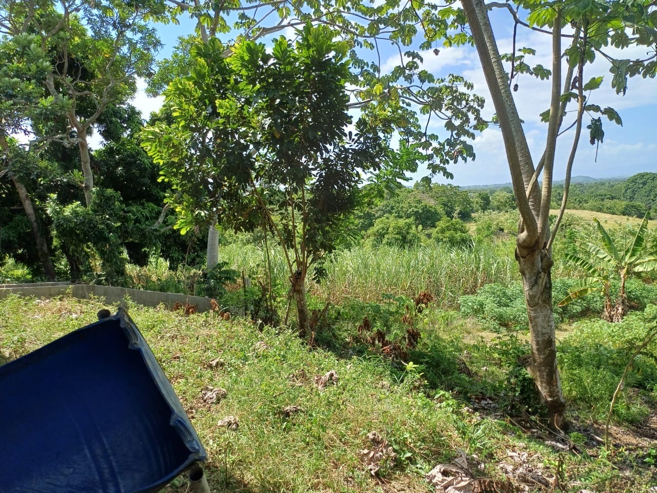 solares y terrenos - Venta de Finca en Gima, Fantino – Provincia Sánchez Ramírez 0