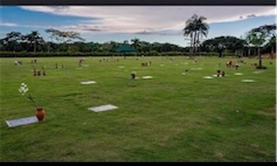solares y terrenos - Propiedad Memorial 