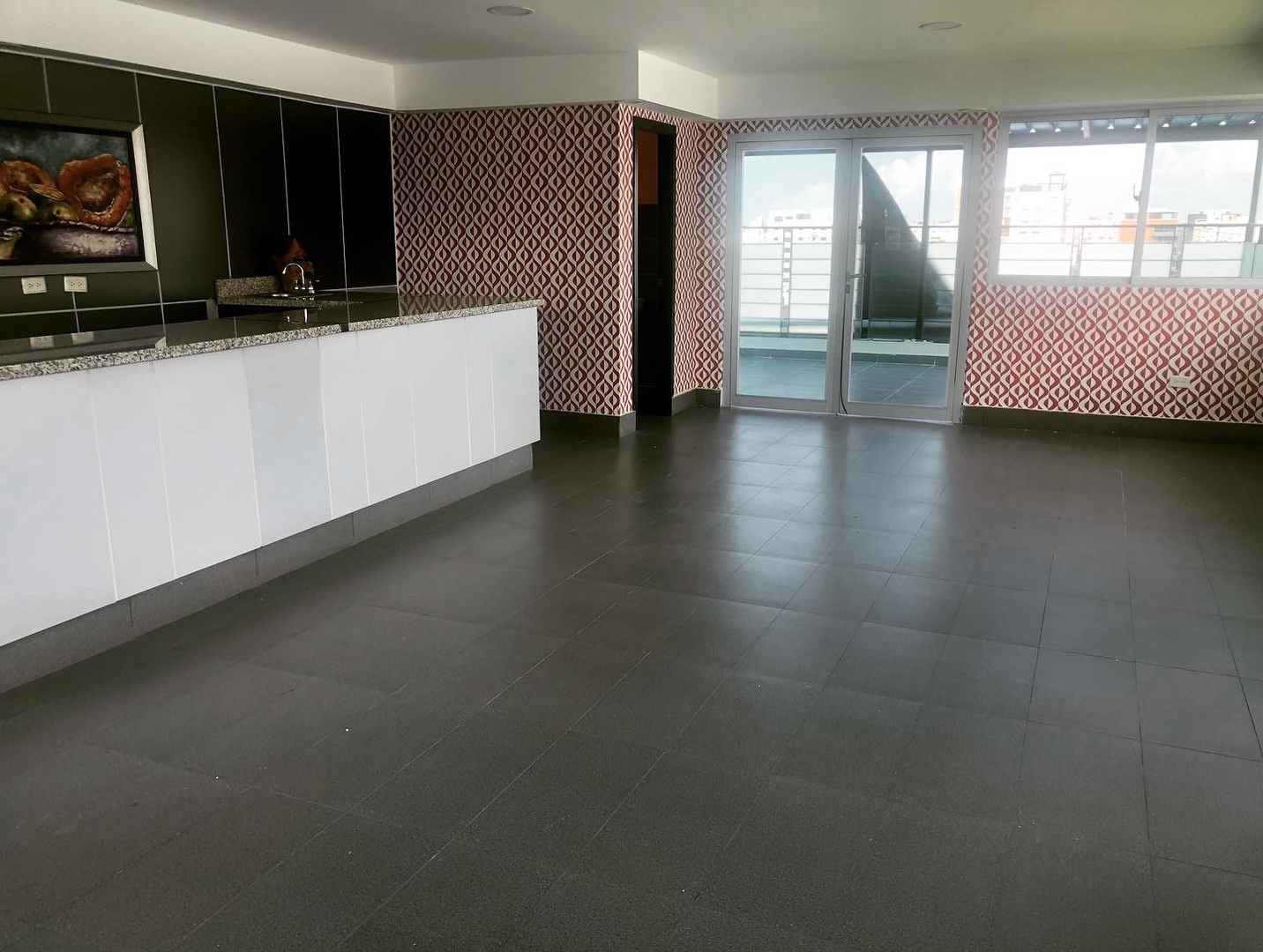 penthouses - Piantini penthouse 5