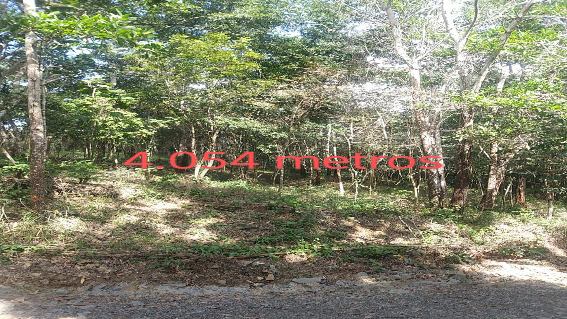 solares y terrenos - SOLARES EN VENTA EN PROYECTO ECOTURÍSTICO “Autopista Duarte Km 42” 1