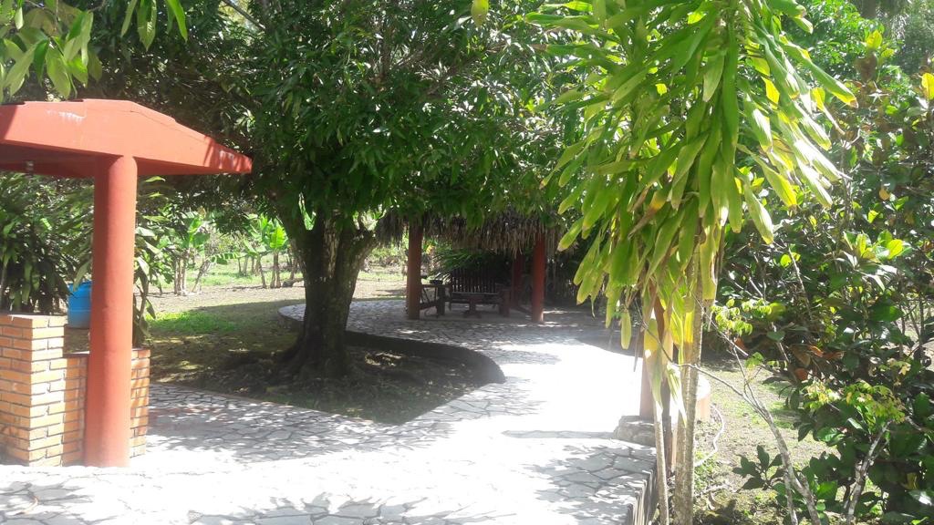 solares y terrenos - FINCA PAPELES AL DÍA EN MONTE PLATA CON ADFALTO Y AGUA PROPIA  3