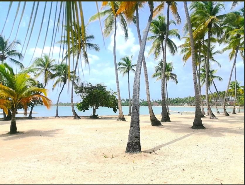 casas vacacionales y villas - Villa en Playa Nueva Romana a pasos de la Playa 8