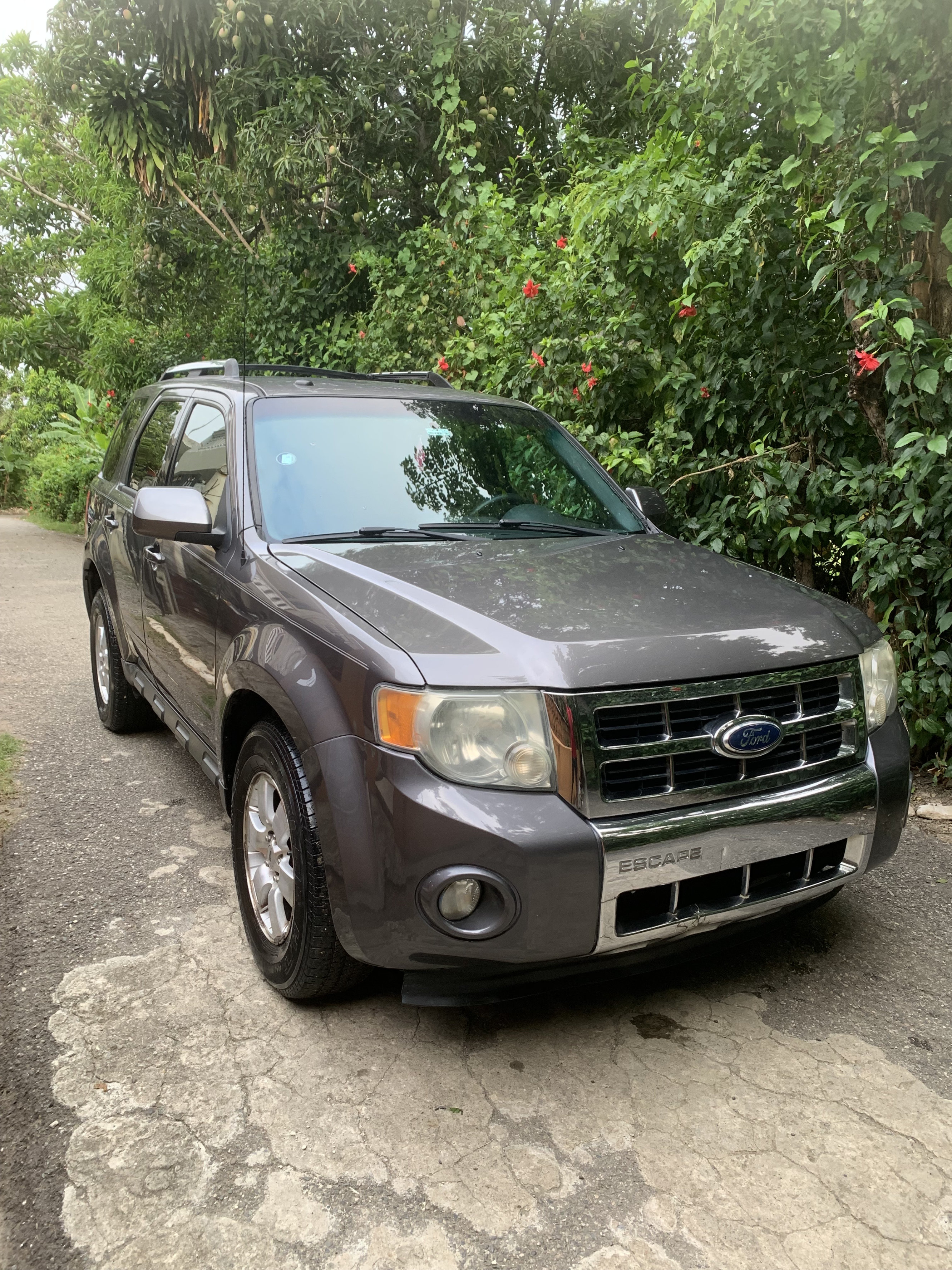 jeepetas y camionetas - Ford escape 2010  1