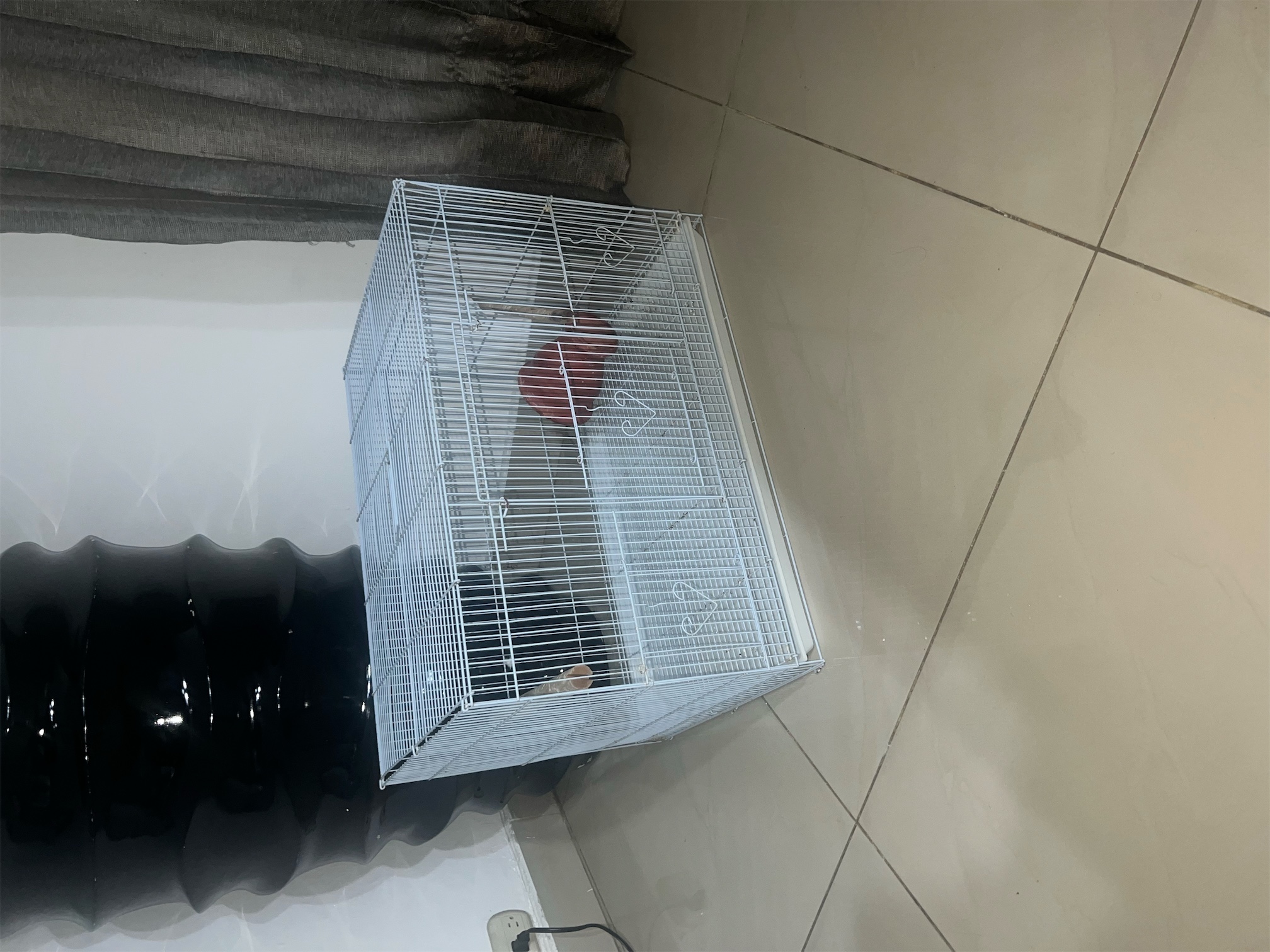 animales y mascotas - Vendo Jaula para aves mediana 0