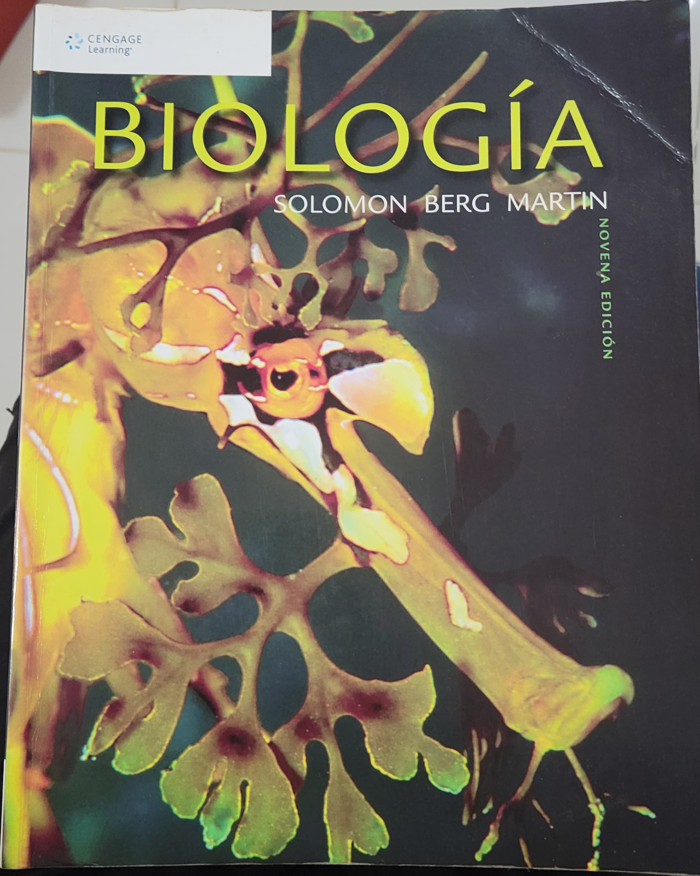 libros y revistas - Libros de Colegio Secundaria - Precio por libro 1