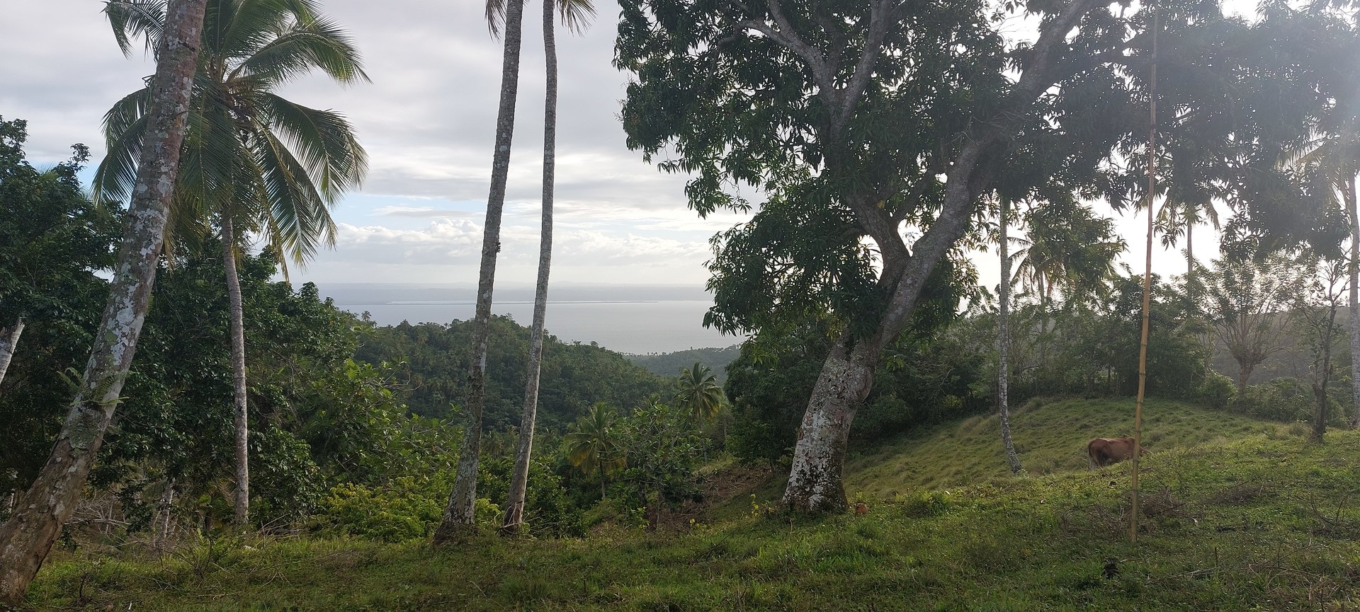 solares y terrenos - Venta-Terreno en Samana con vistas a la bahia de Samana 9