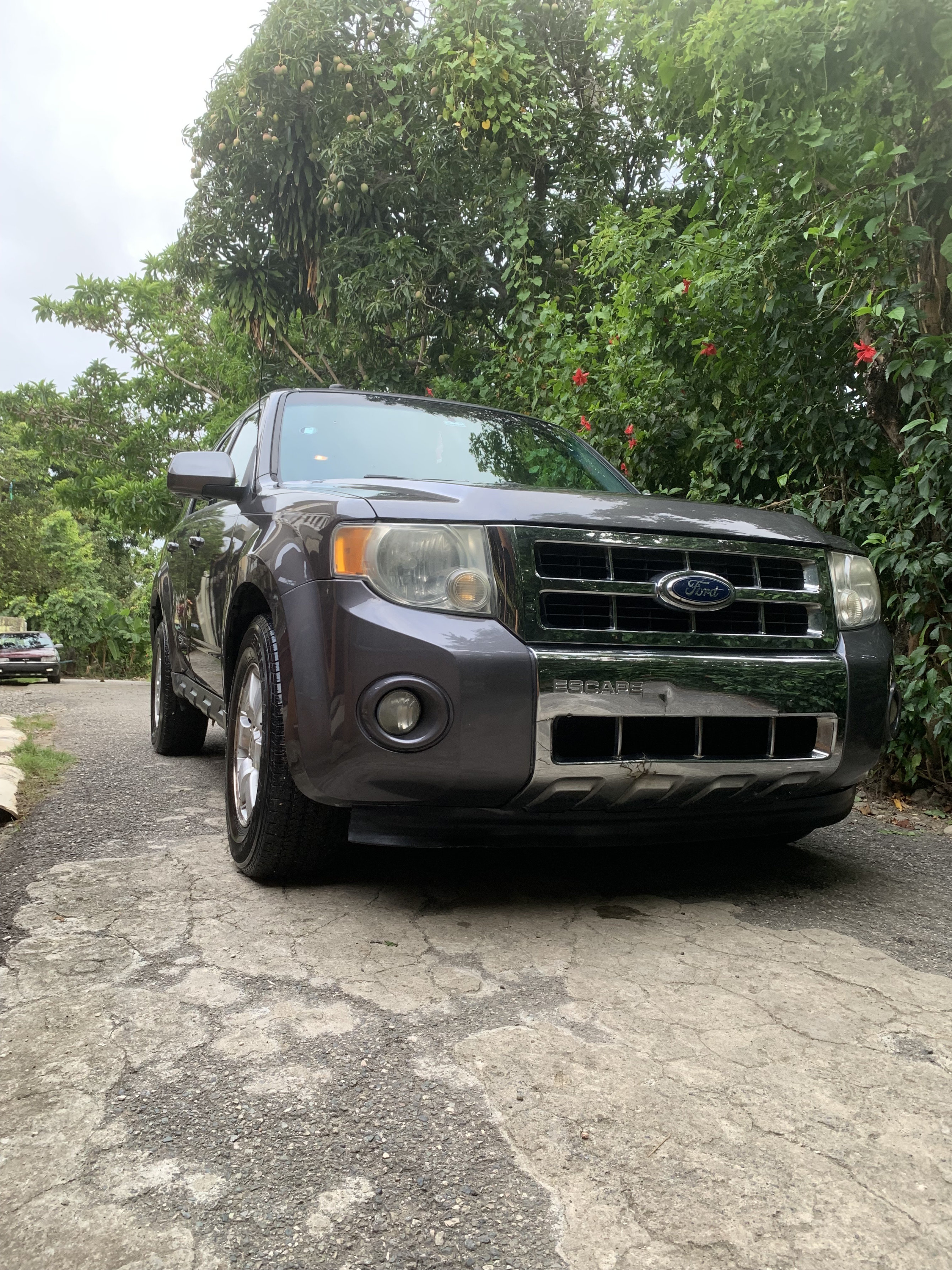 jeepetas y camionetas - Ford escape 2010  2
