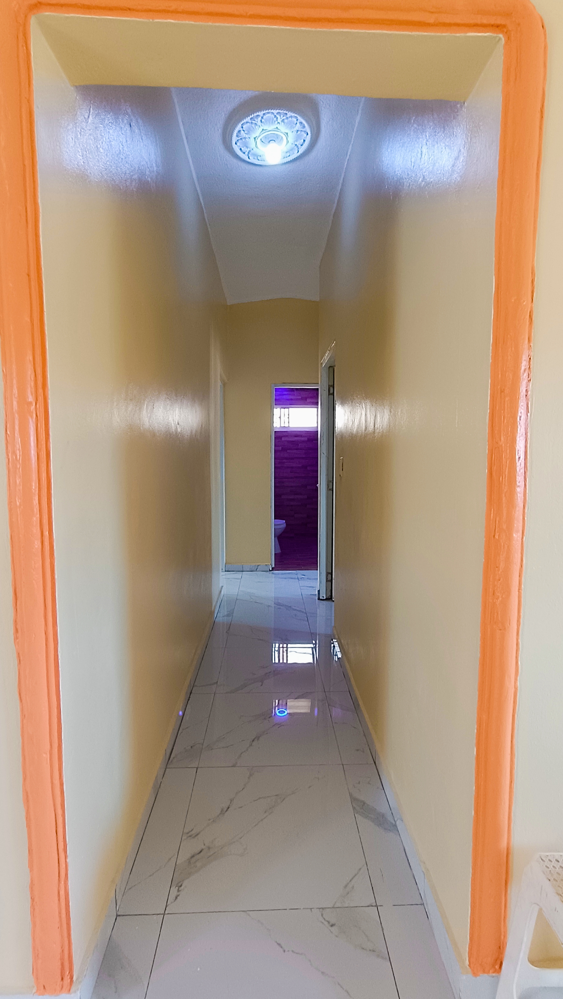 apartamentos - Apartamento renovado en alquiler INVIVIENDA  5