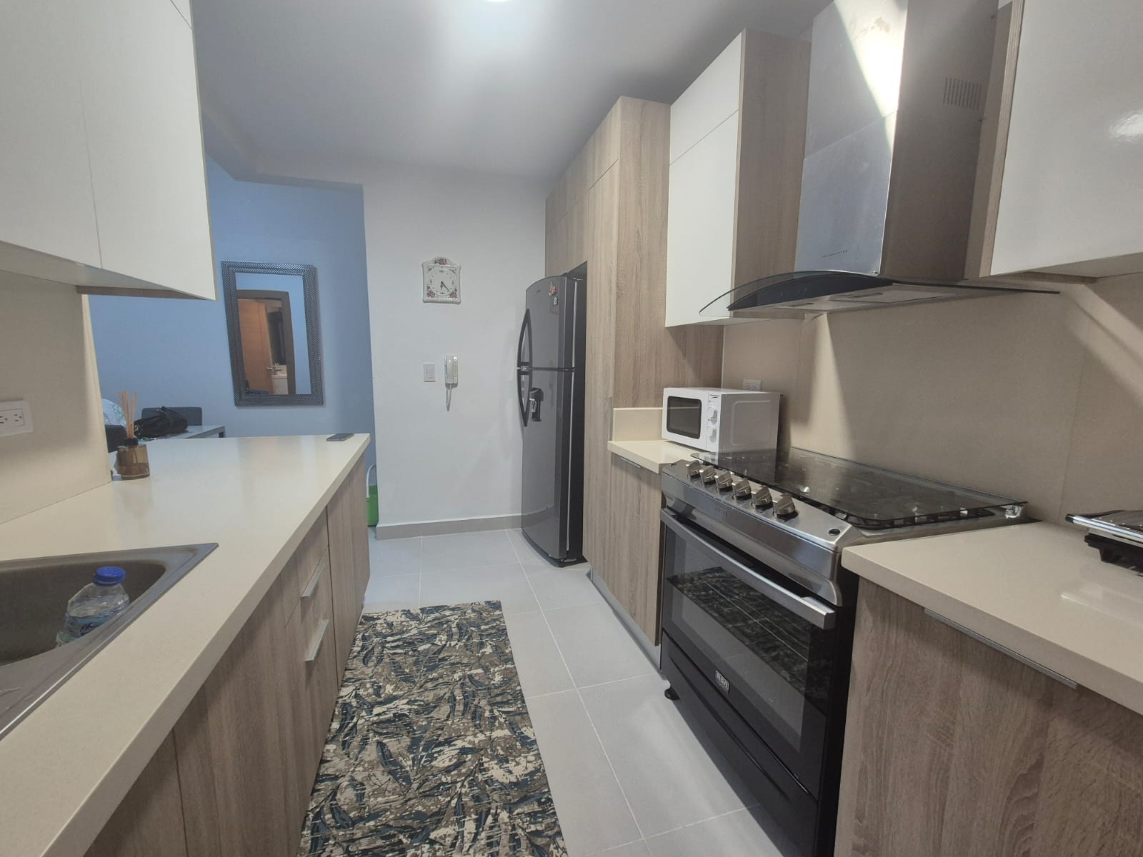 apartamentos - Alquiler amueblado en Evaristo Morales 2
