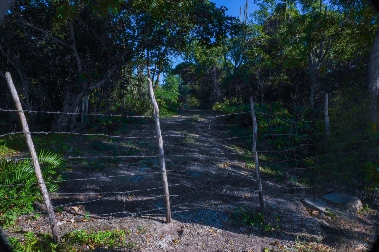 solares y terrenos - VENTA DE TERRENO EN BAHAHIBE - ZONA COSTERA DE REPÚBLICA DOMINICANA 1