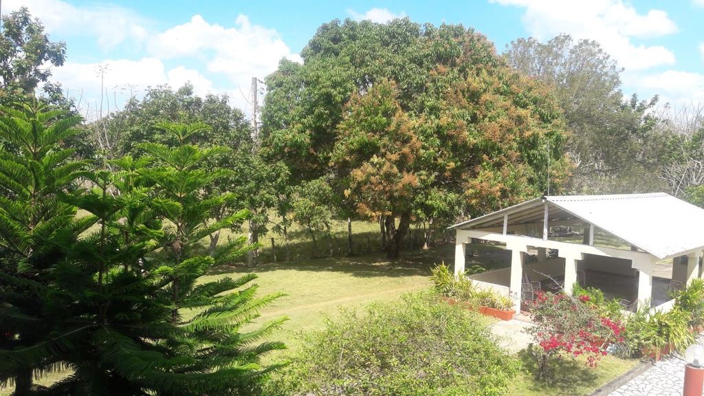 solares y terrenos - FINCA PAPELES AL DÍA EN MONTE PLATA CON ADFALTO Y AGUA PROPIA  5