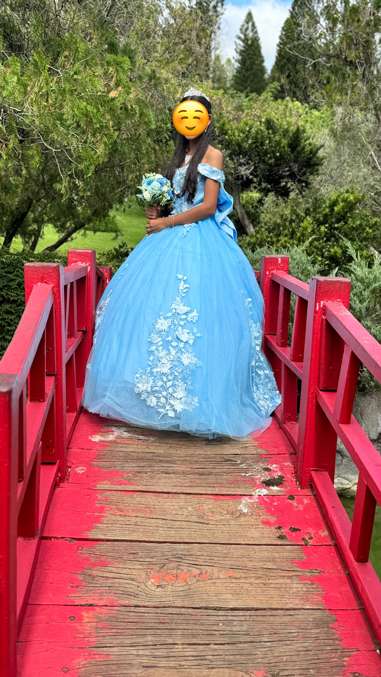 ropa para mujer - Vestido Quinceaños 7