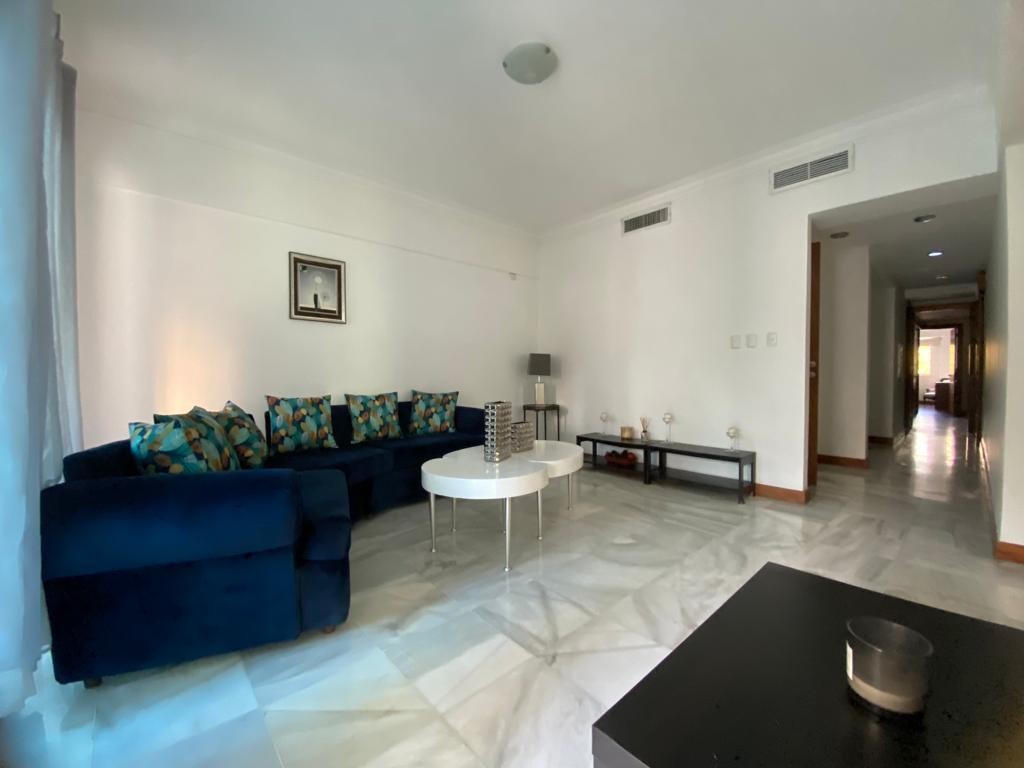 apartamentos - Alquilo  apartamento de 235 Metros cuadrados en sector exclusivo de Naco  4