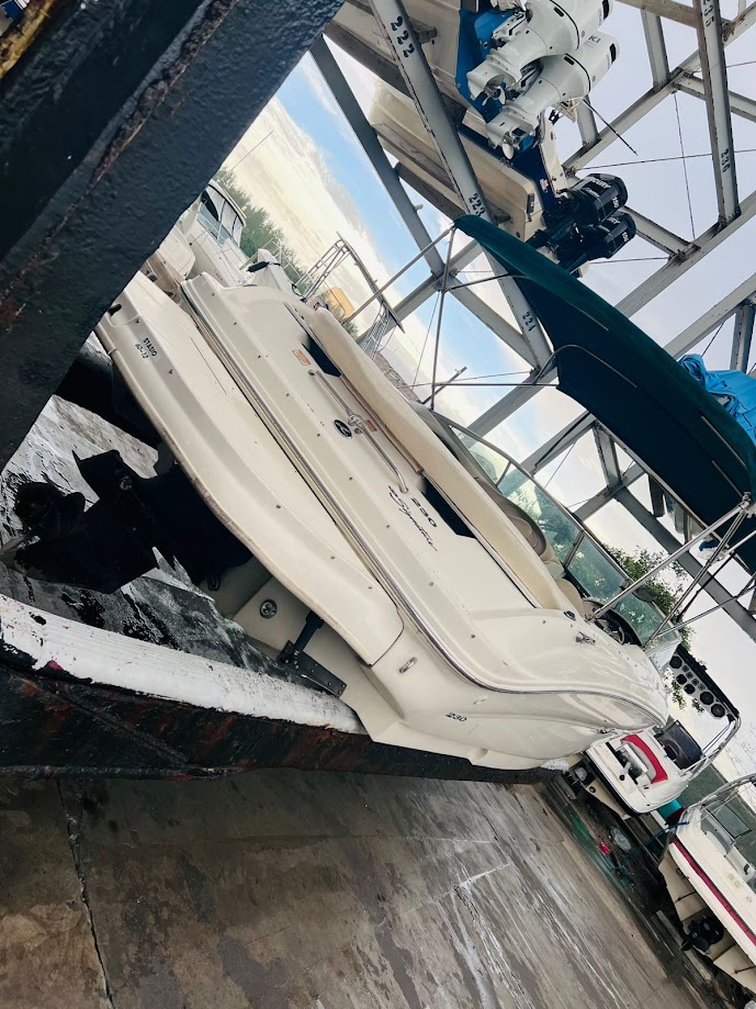 botes - Sea Ray 230 Signature 8