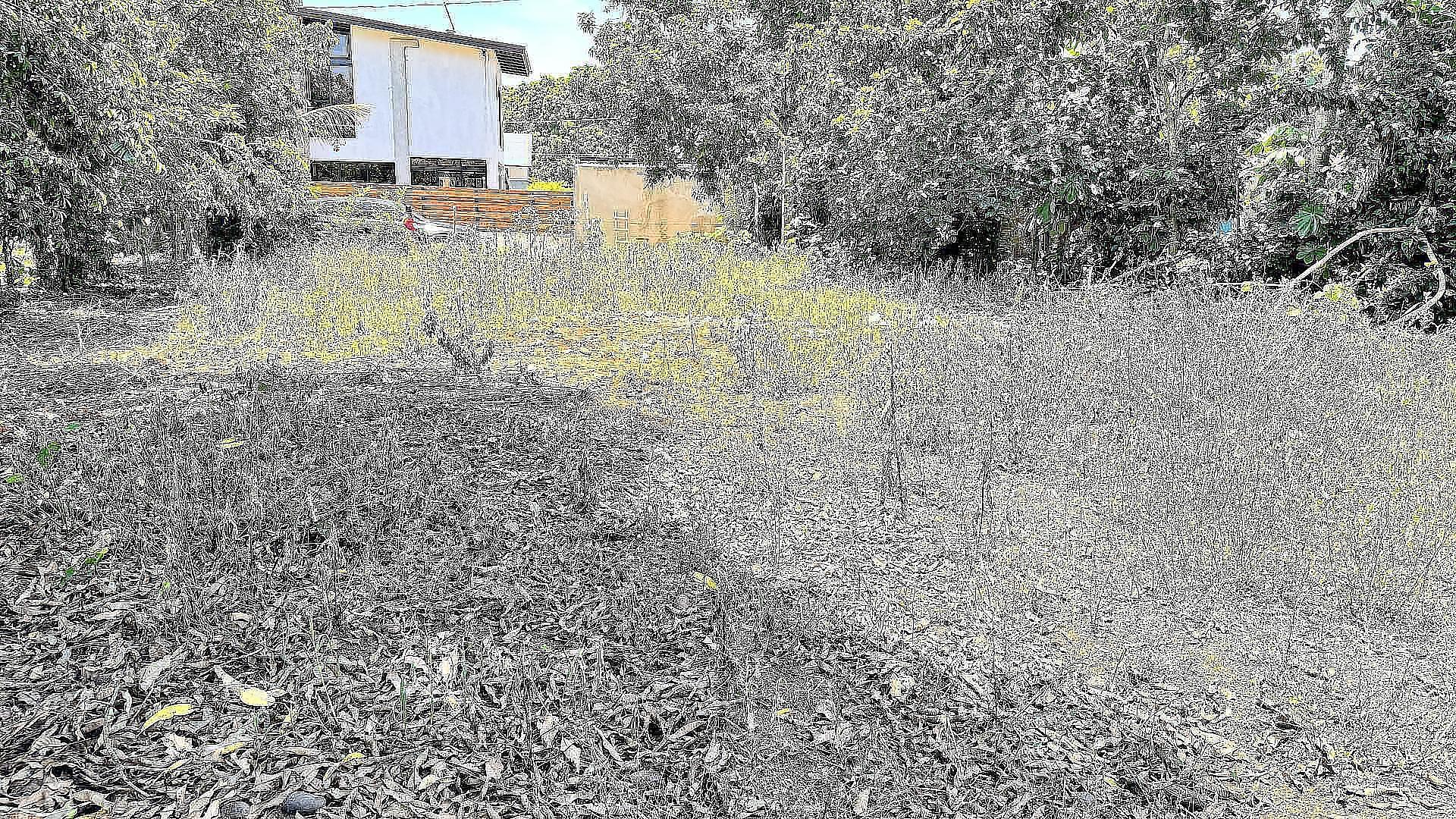 solares y terrenos - VENDO SOLAR EN JARABACOA 5