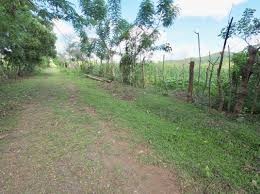solares y terrenos - Finca en el KM 28 en Pedro Brand 0