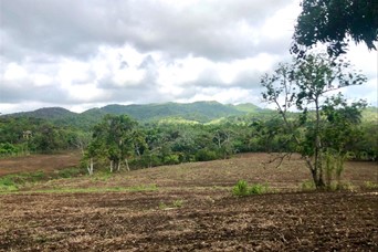 otros inmuebles - Vendo Finca en Monte Plata  8