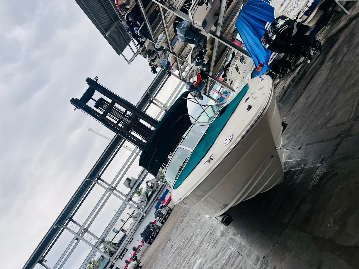 botes - Sea Ray 230 Signature 5