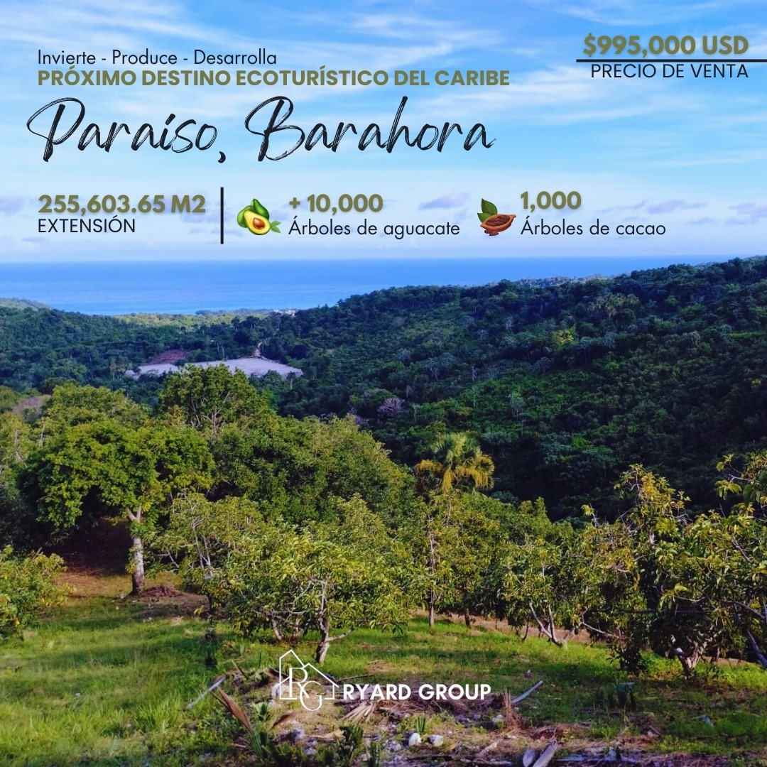 solares y terrenos - FINCA O TERRENO VENTA PARA PROYECTO TURISTICO  0