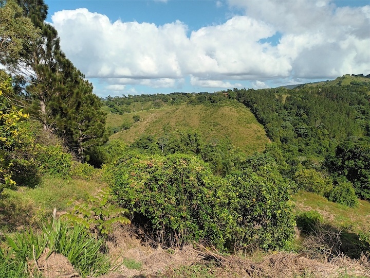 solares y terrenos - Terreno en Venta en JARABACOA 
 5