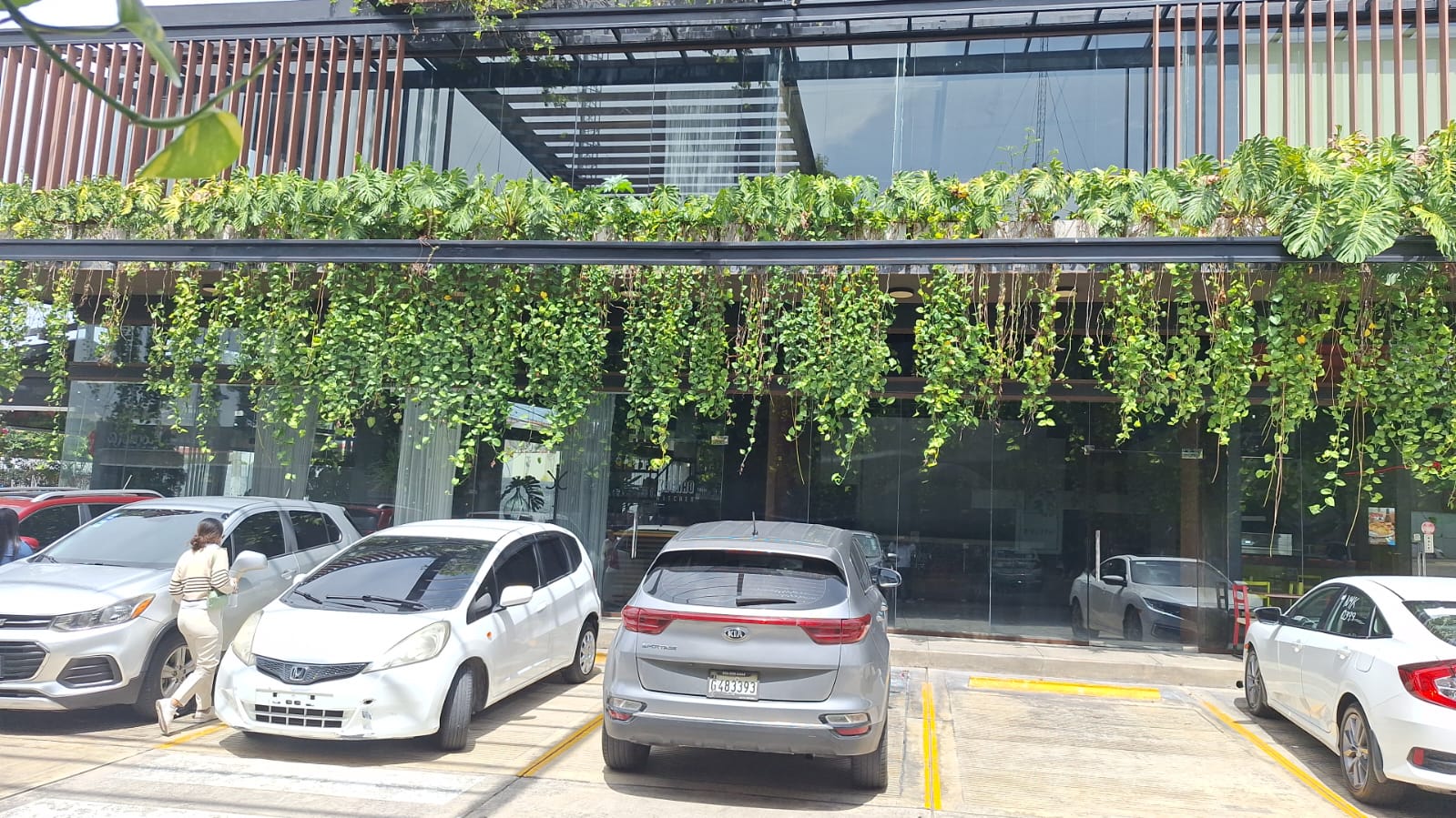 oficinas y locales comerciales - Local en Arroyo Hondo Viejo primer nivel 5