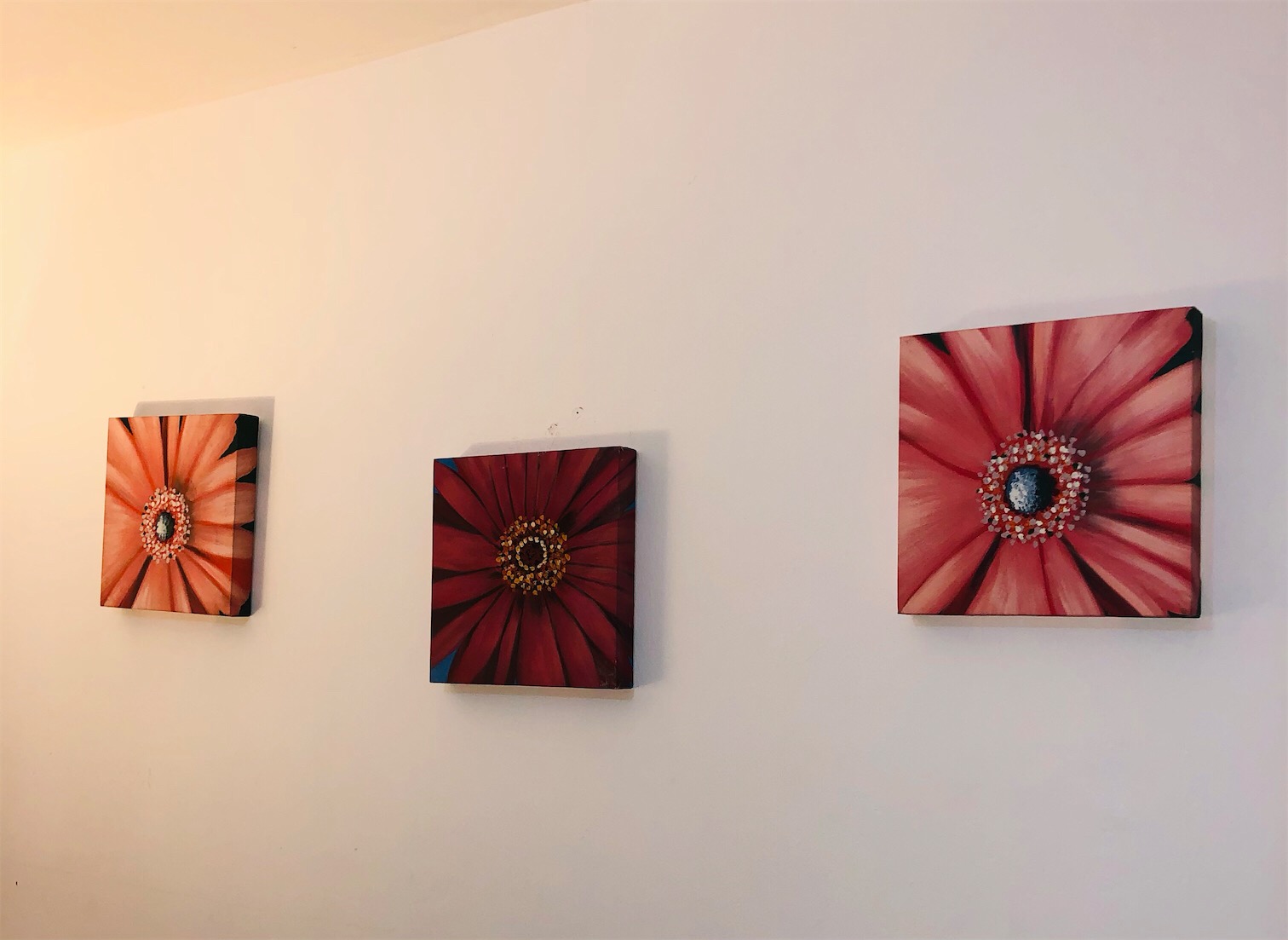 decoración y accesorios - Trío de cuadros