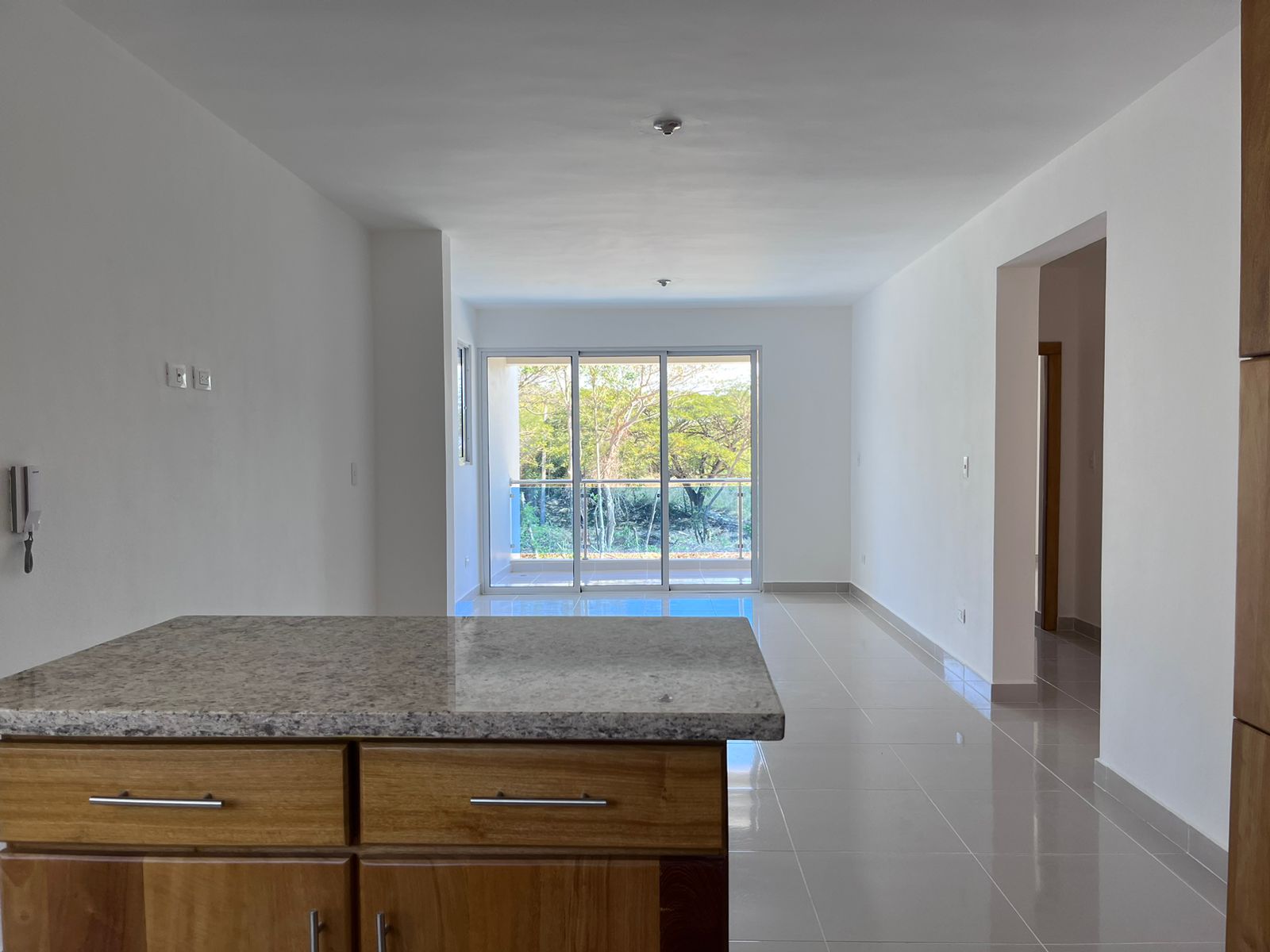 apartamentos - Apartamento en venta en Santiago 1