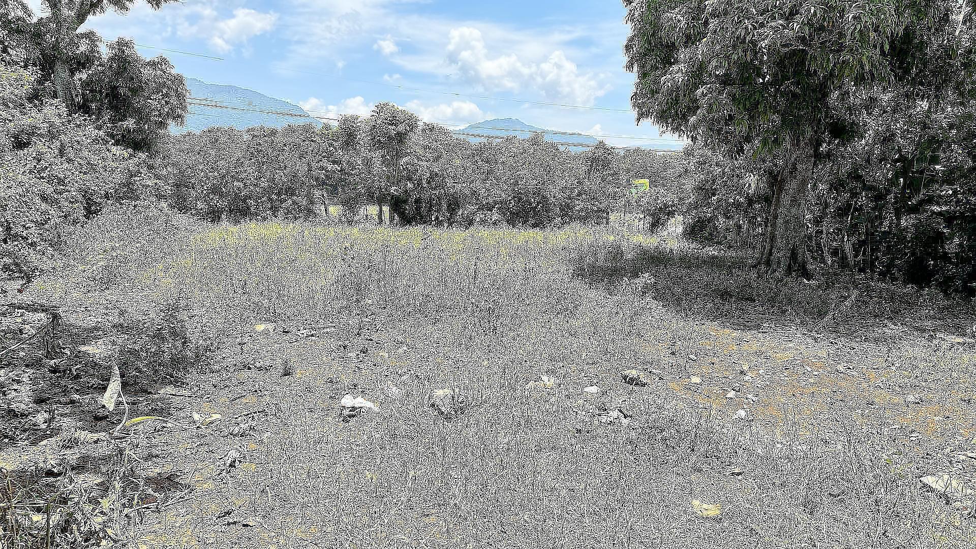 solares y terrenos - VENDO SOLAR EN JARABACOA 6