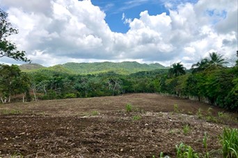 otros inmuebles - Vendo Finca en Monte Plata  9