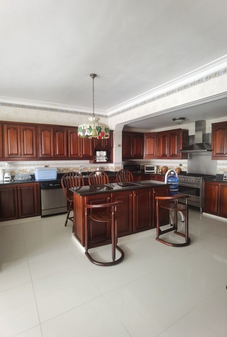 penthouses - Penthouse bella vista 490mt2  6