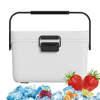 electrodomesticos - NEVERITA PORTÁTIL DE 3.8L  