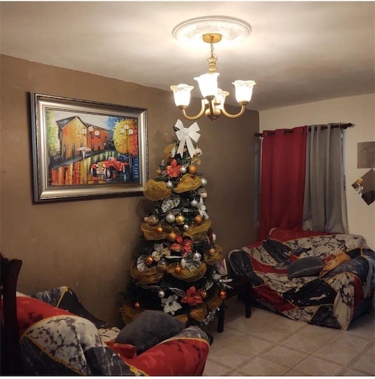 casas - Venta de 2 casa en una en villa carmen Santo Domingo este  1