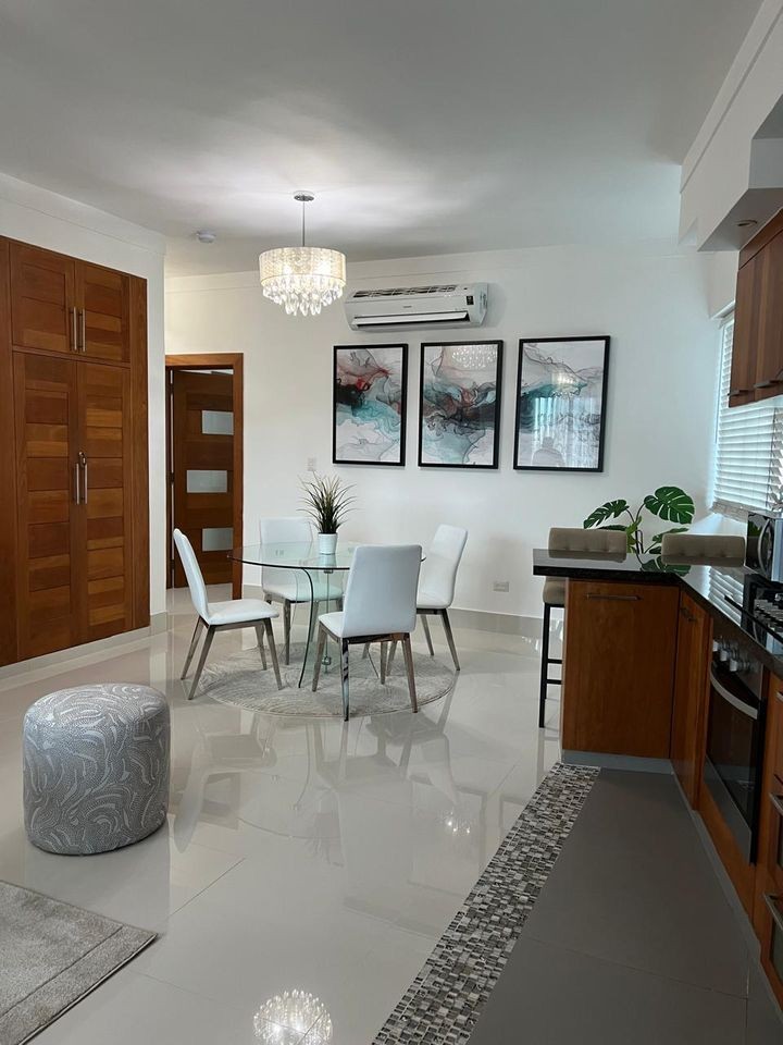 apartamentos - Renta de Apartamento de 1 habitación en Naco 3