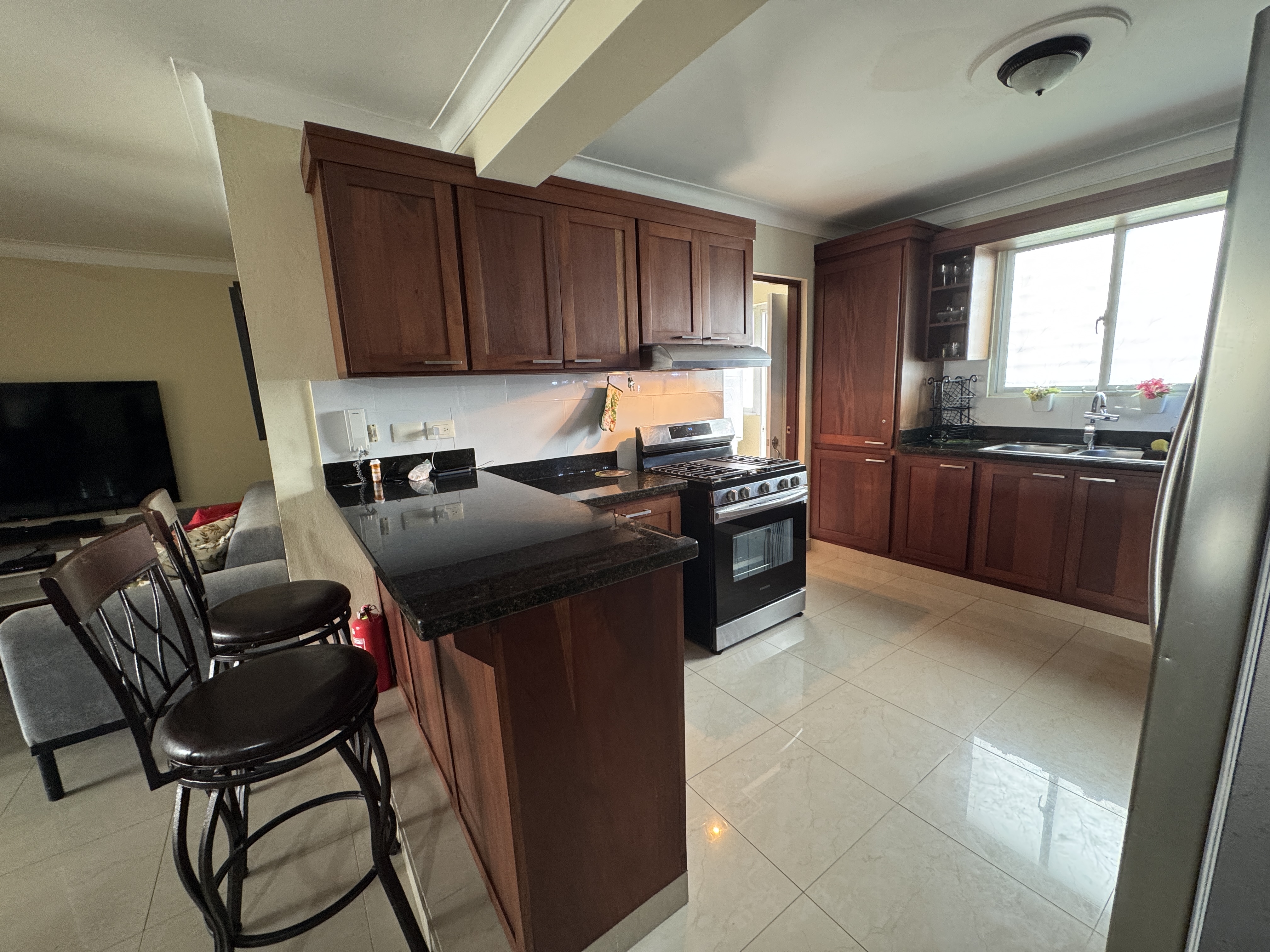 apartamentos - APARTAMENTO EN VENTA, AV. RAFAEL VIDAL, SANTIAGO 1