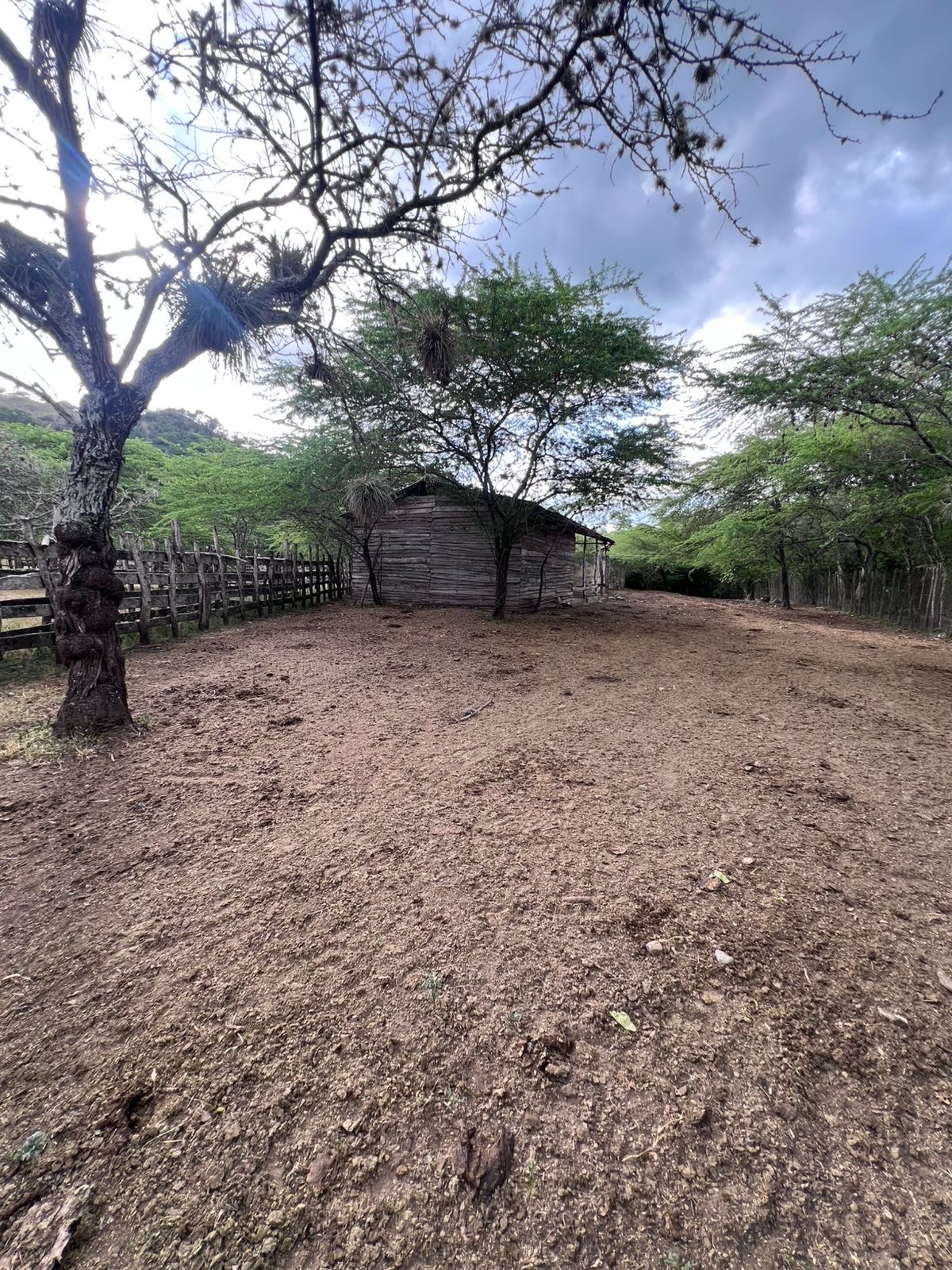 solares y terrenos - finca en Sajoma San José de las matas  3