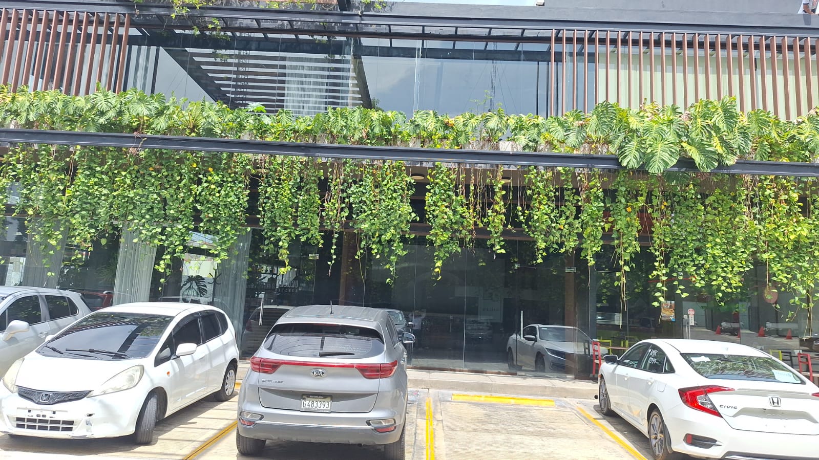 oficinas y locales comerciales - Local en Arroyo Hondo Viejo primer nivel 6