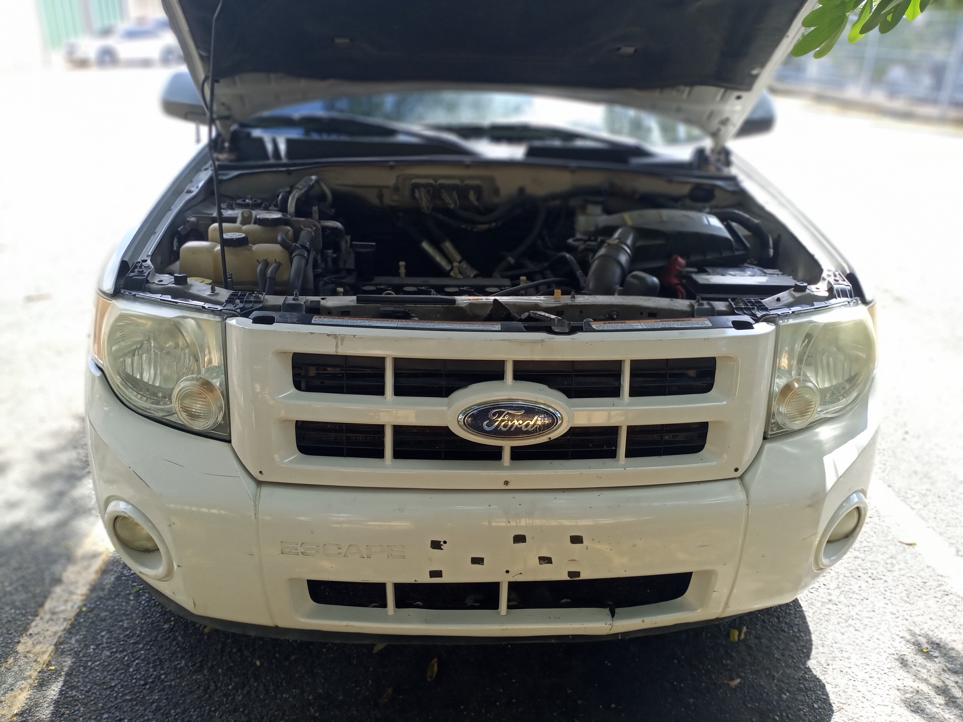 jeepetas y camionetas - FORD ESCAPE HYBRID 2009 2