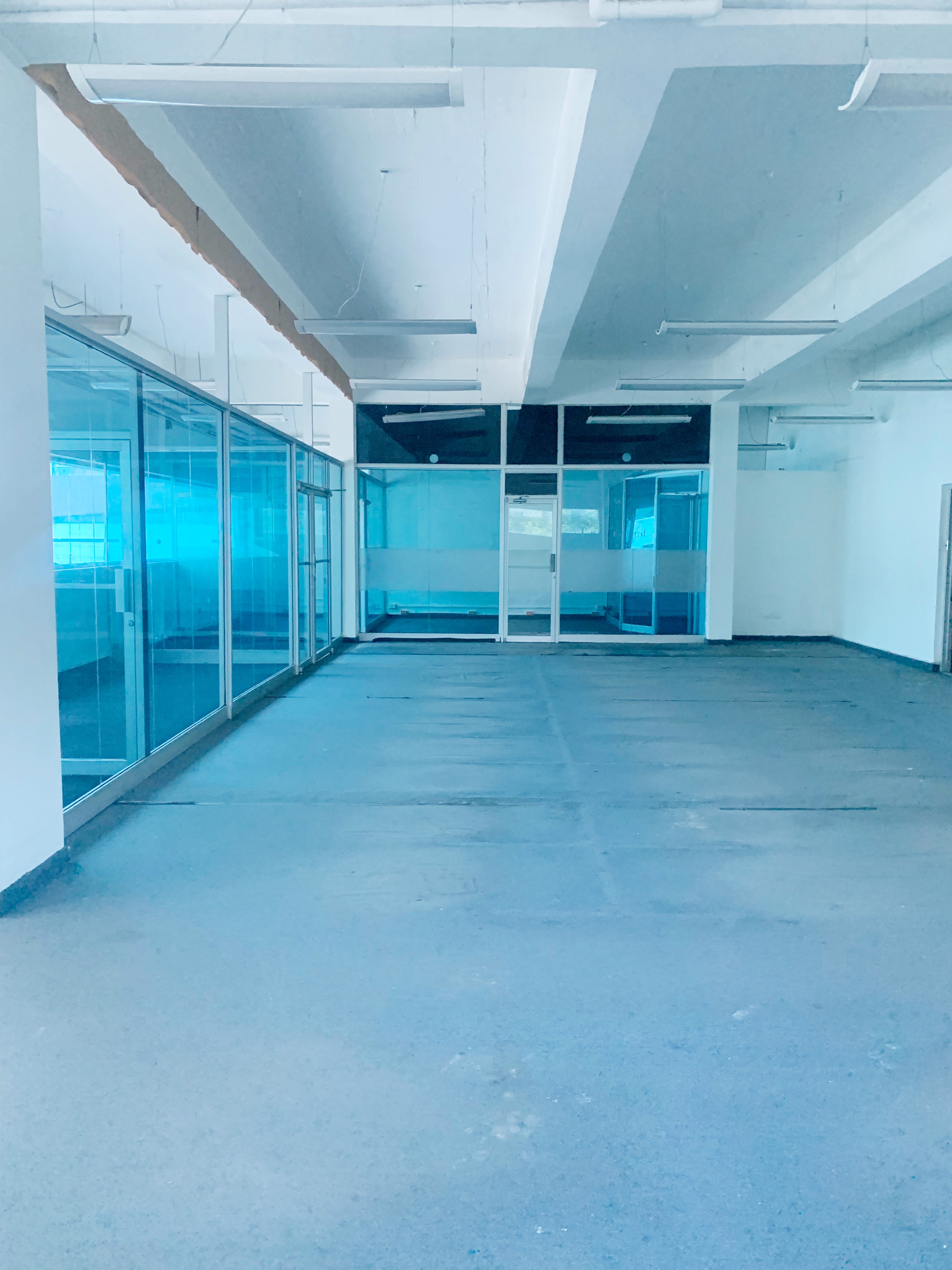 oficinas y locales comerciales - Local céntrico en Piantini 1