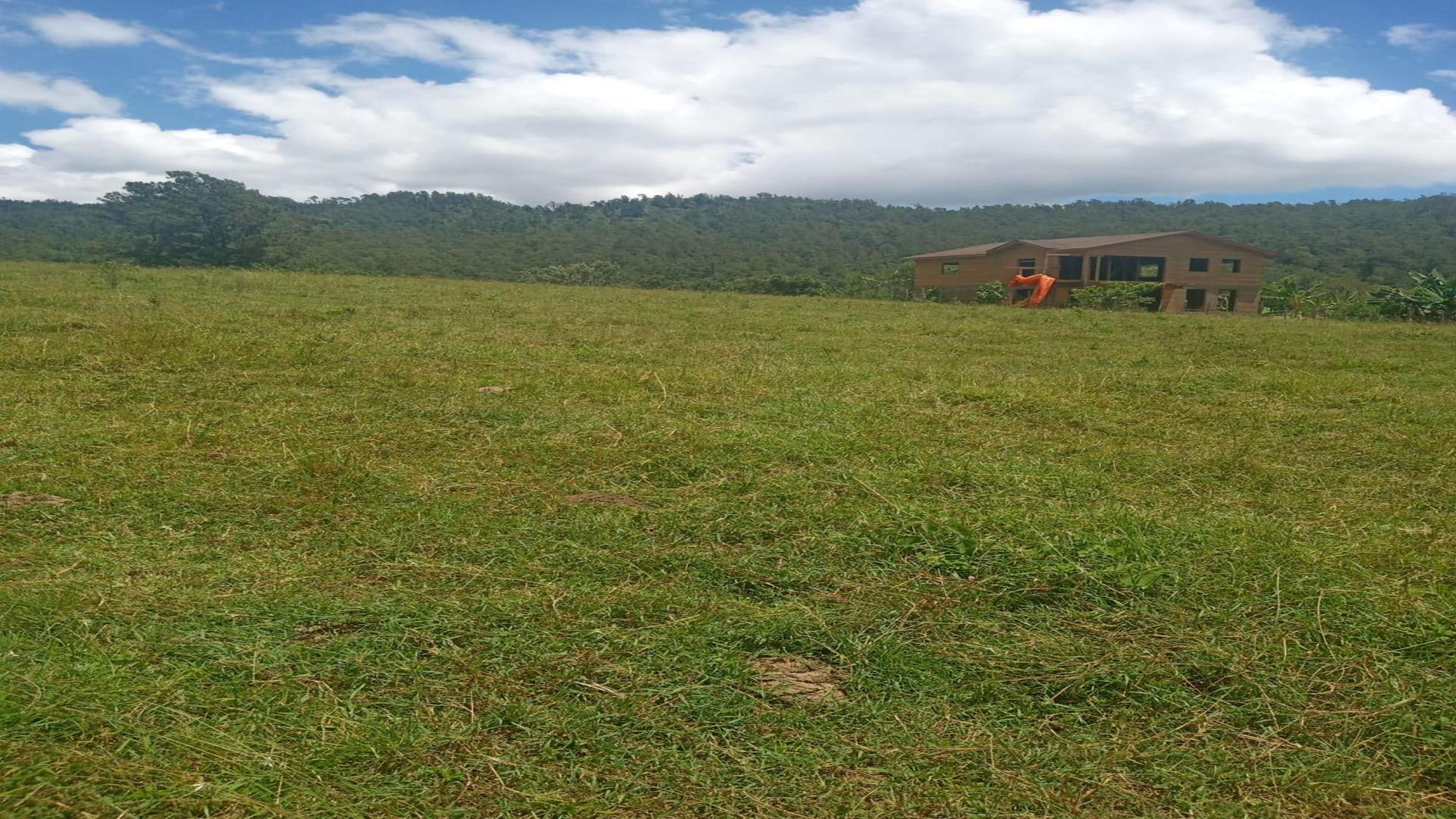 solares y terrenos - Terreno en venta en Manabao, Jarabacoa 1