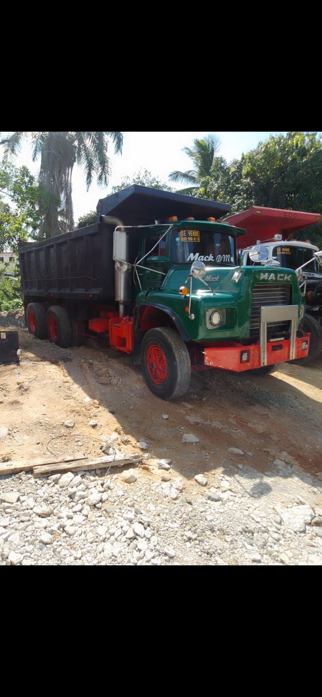 camiones y vehiculos pesados - Mack Dm cara de niño