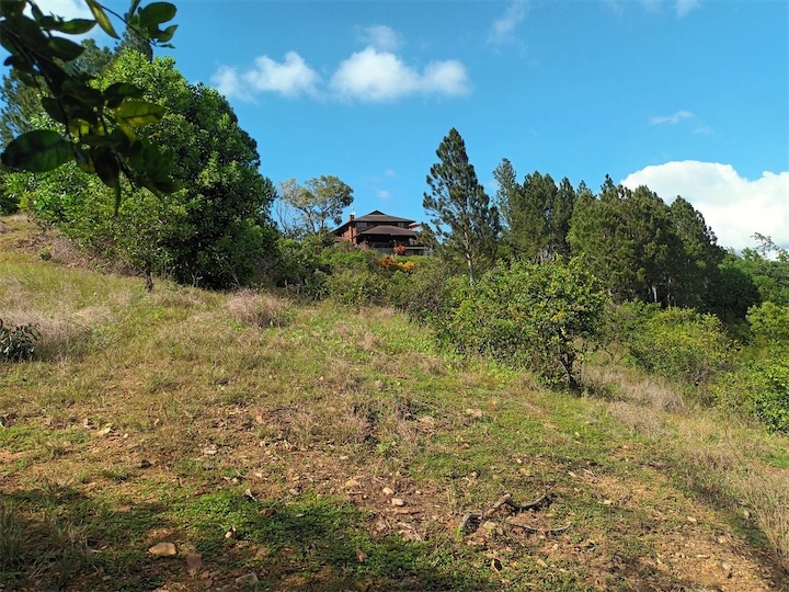 solares y terrenos - Terreno en Venta en JARABACOA 
 7