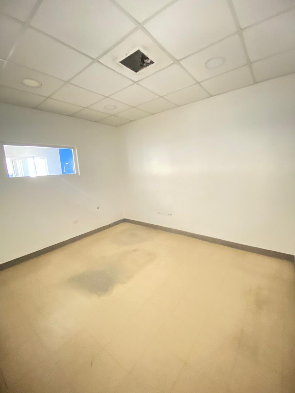 oficinas y locales comerciales - Nave industrial en alquiler  1