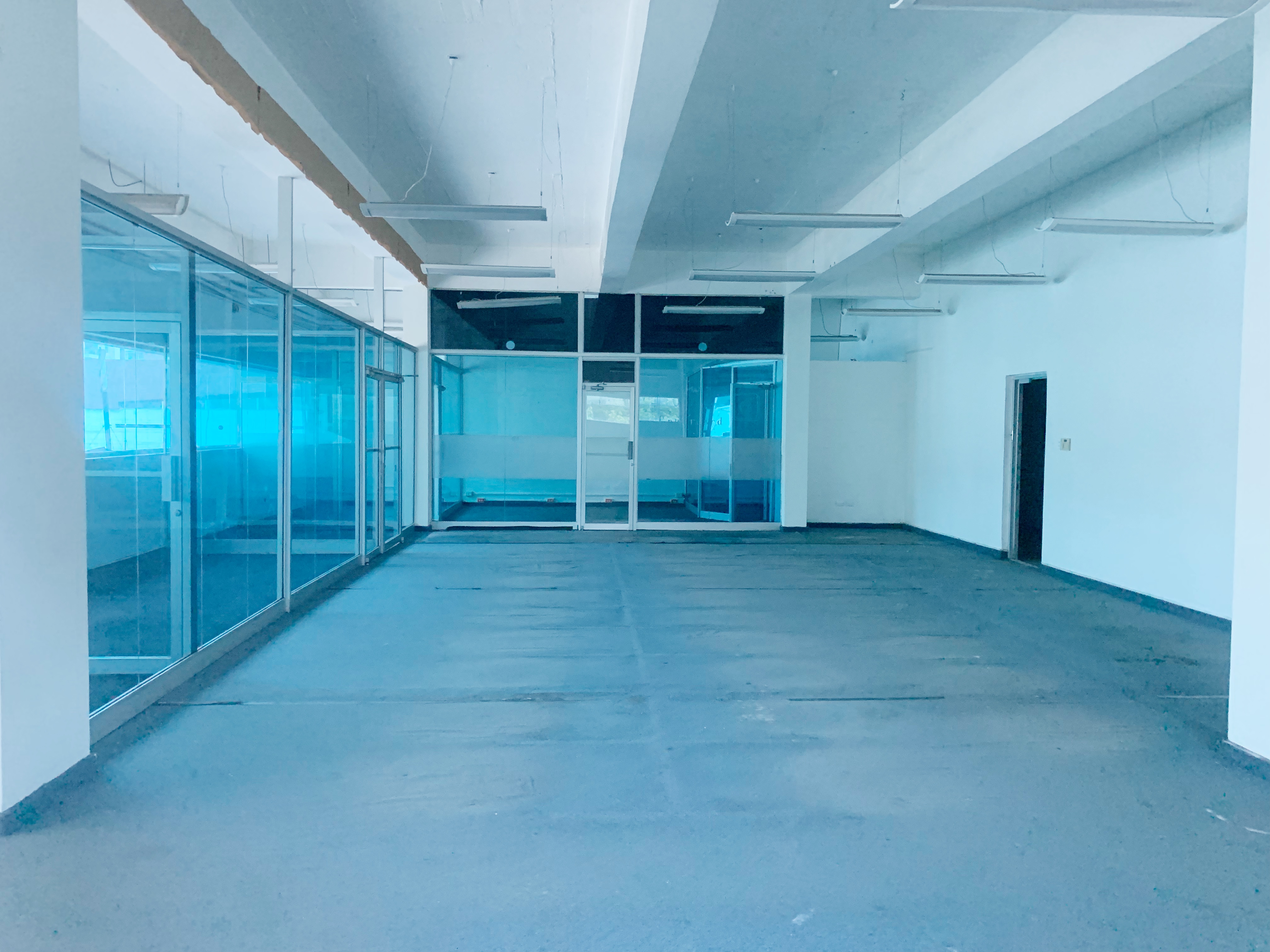 oficinas y locales comerciales - Local céntrico en Piantini 2