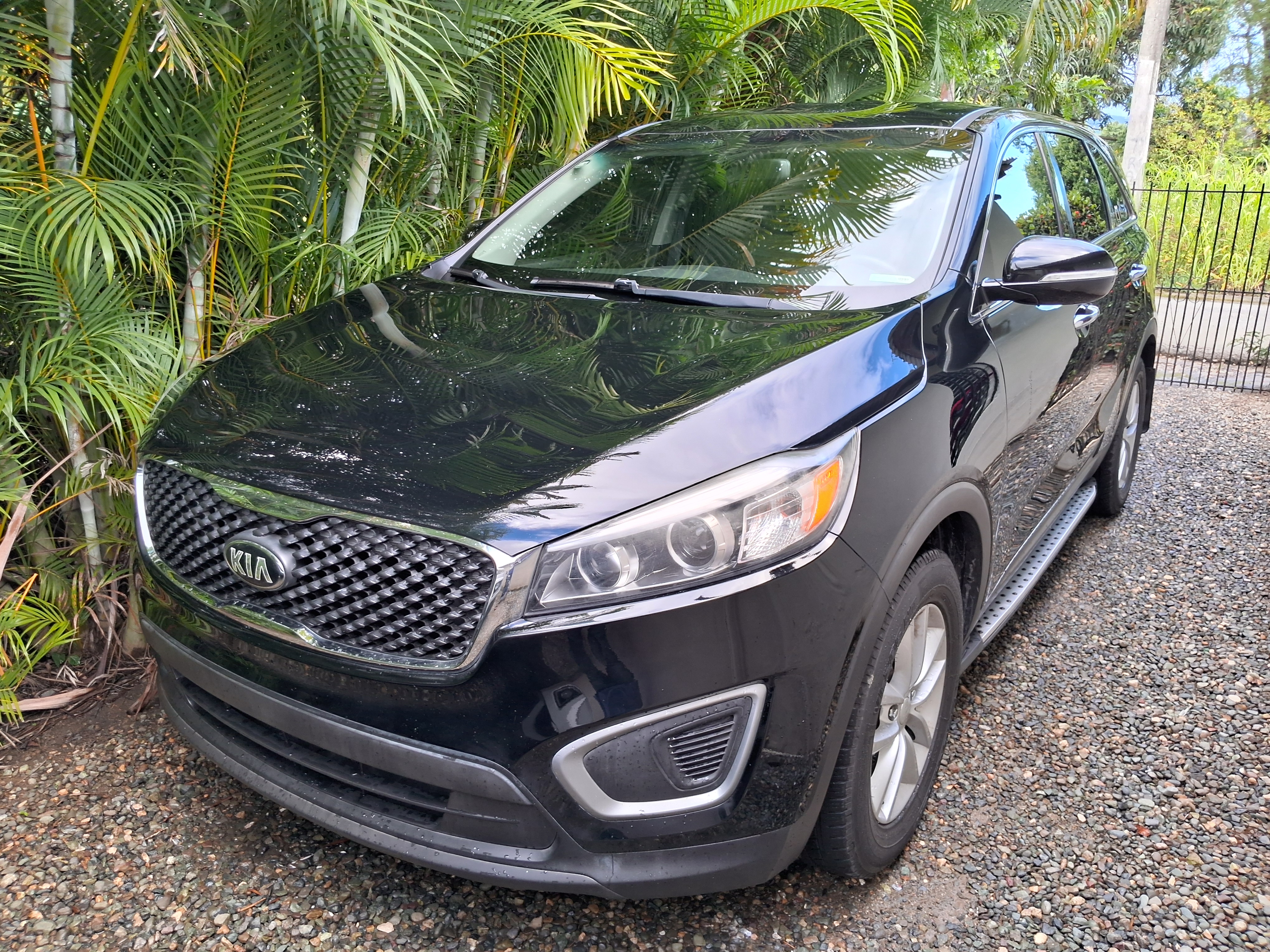 jeepetas y camionetas - Kia Sorento 2017 Nueva en Santiago Villa Olga.  2