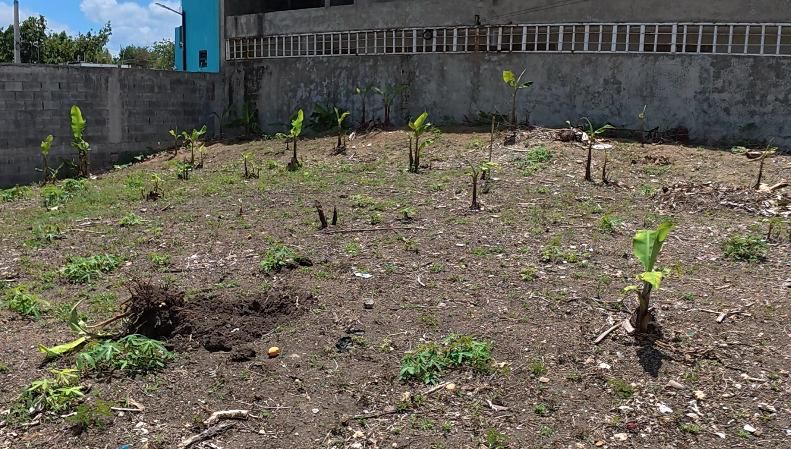 solares y terrenos - Solar en venta 298 M2 
Los Cantines, San Cristóbal 5