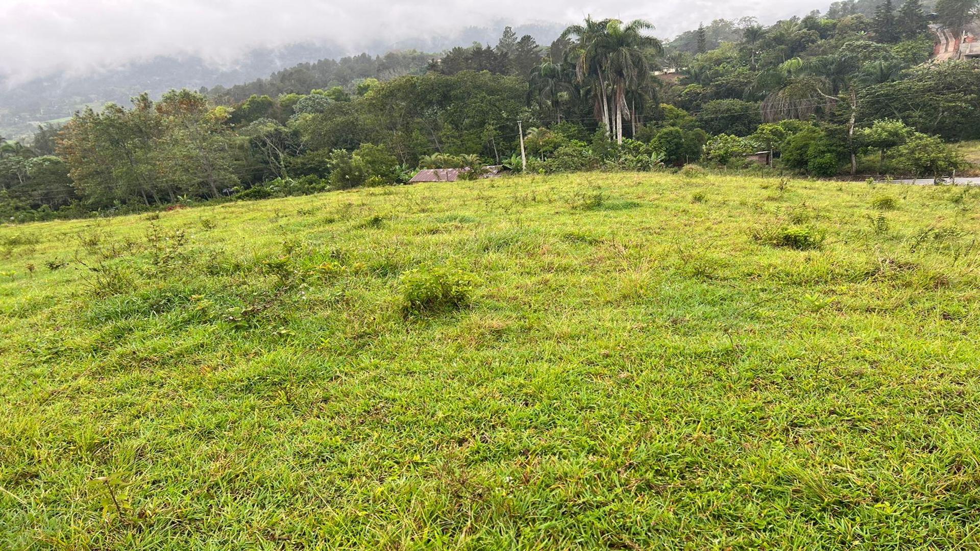 solares y terrenos - Terreno en venta en Manabao, Jarabacoa 3
