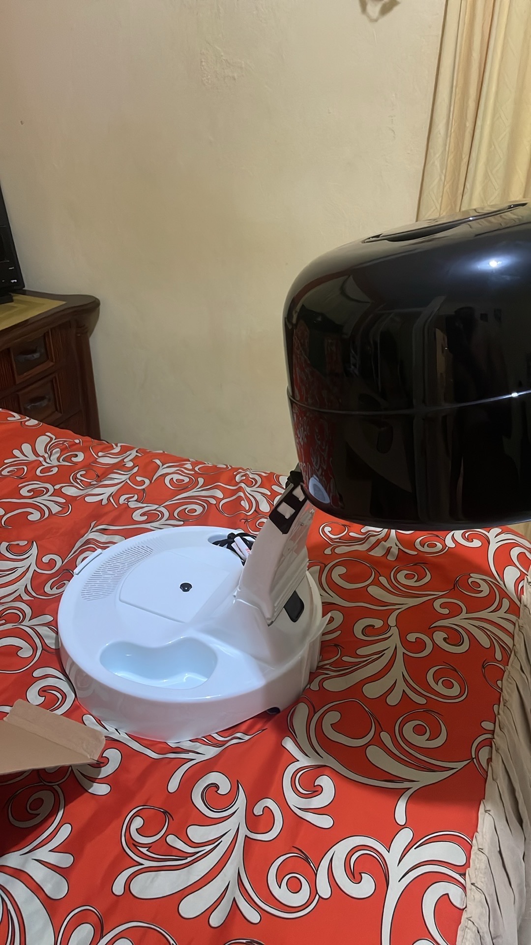 salud y belleza - SECADOR DE PELO✅ 4