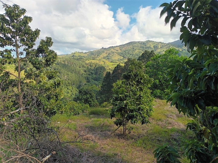 solares y terrenos - Terreno en Venta en JARABACOA 
 9