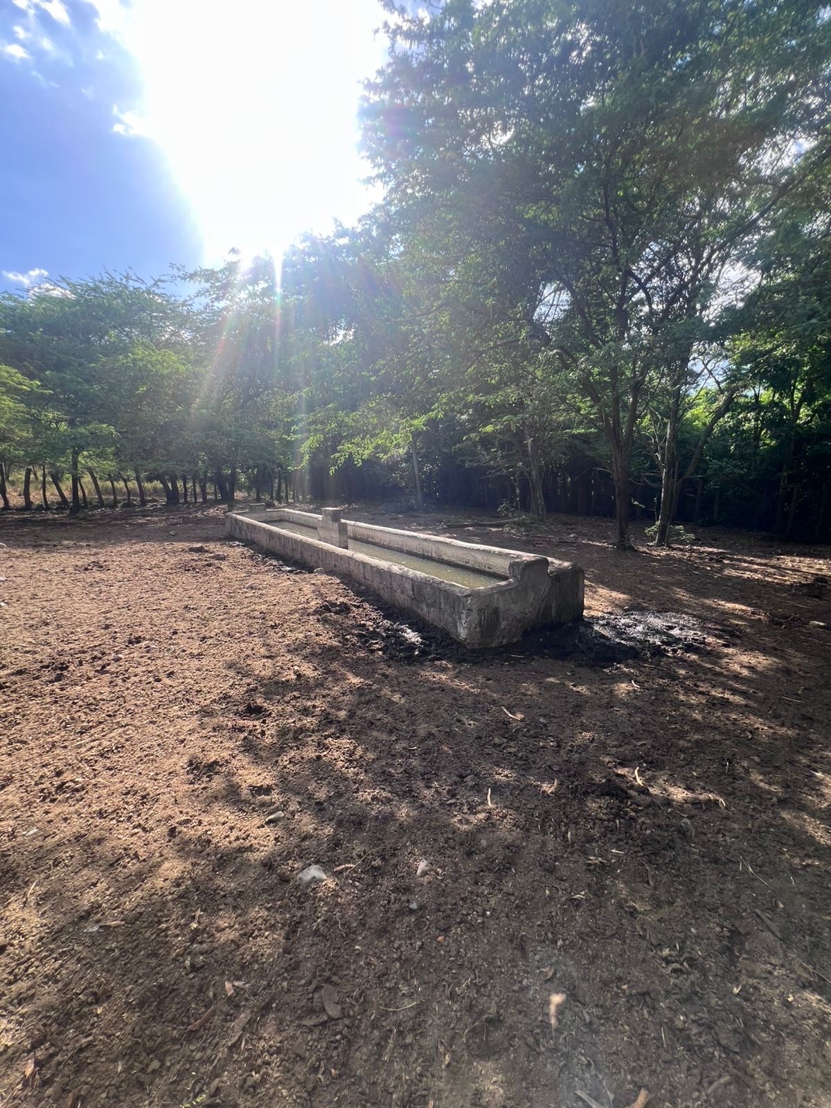 solares y terrenos - finca en Sajoma San José de las matas  6